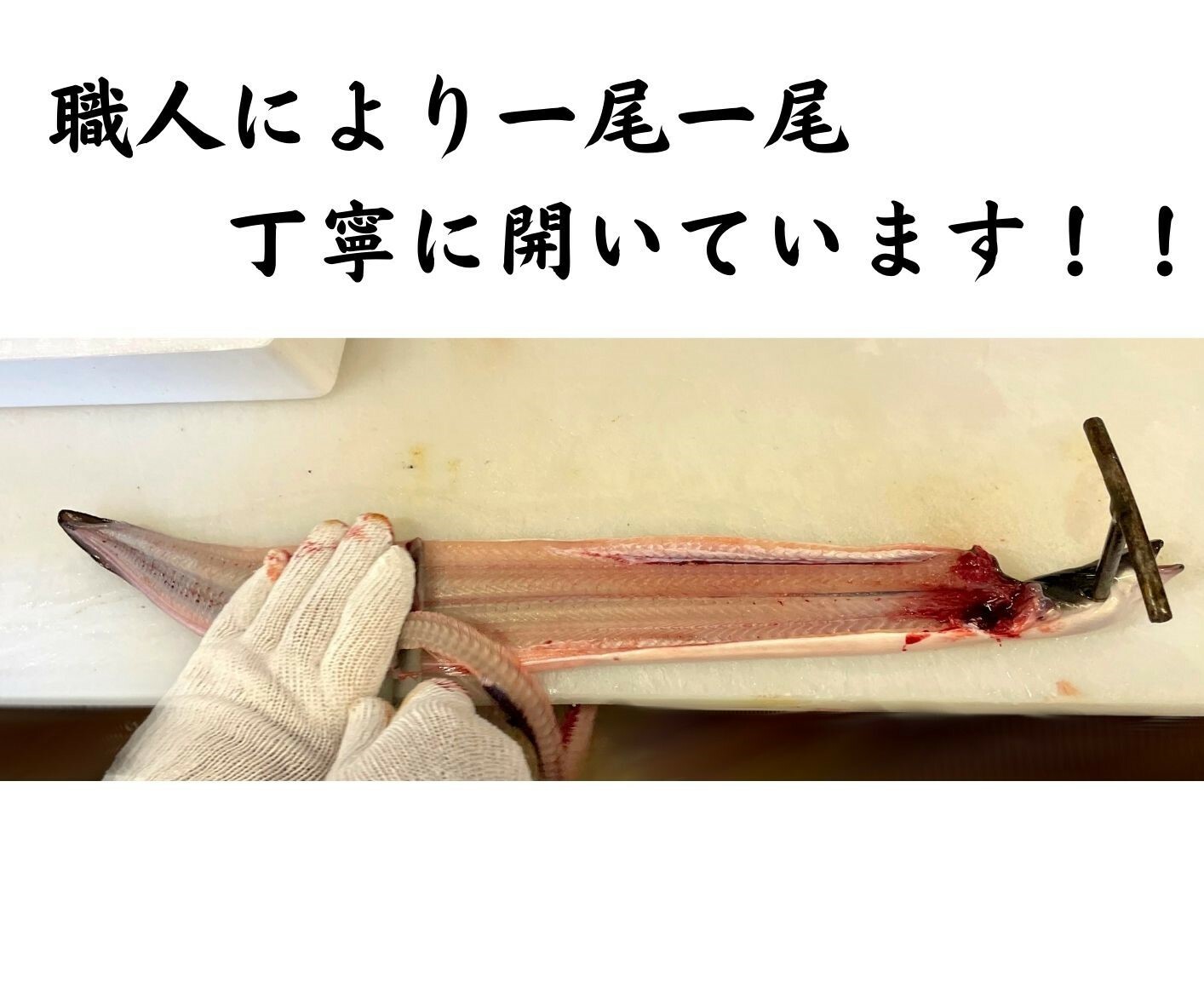 生うなぎ　約１ｋｇ　４〜５人前　生開うなぎ鰻　ウナギ　BBQ　うなぎ生