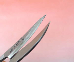 E؂oT~u(ɂ΂)^(\)E35(105~)v Ntgp ؂ ͂ ͂ ؂΂  | ͂ nT~ 葢 ł hJ oT~ 