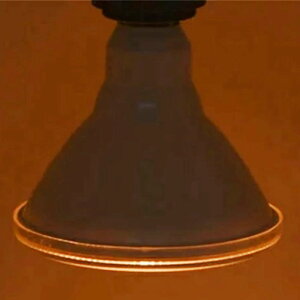 LED r[d S[h@dF@F X|bgCg r[v E26 a120×130mm PSEF؍ tXg d15W px35°Ή Ή hIP65 PSE {HƎ Ɩp 100W