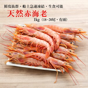 hV̓ VRԊCV 1kgi18`20jGr  CV ԃGr Ⓚ BBQ  CN i hg CN tC  GrtC R  蕨  J H 1000g AJGr Ԃ