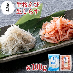 hV̓ сEVXZbg x͘pY 100g VX 炷 炷 TNGr  Gr CN   Mtg CN ȒP  炷 O É n C̍K 