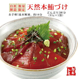 天然本マグロ赤身の漬け 475g (95g×5パック入)　本マグロ 本鮪 天然 鮪 まぐろ マグロ づけ 漬け 丼　海鮮 魚 贈答 プレゼント 誕生日 ギフト 贈り物 贈答用 個包装 お手軽 熨斗対応