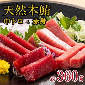 お中元 天然本マグロファミリーセット 中とろ 赤身 計360g 正規品 お歳暮 贈答品 わさび付 海鮮 刺身 寿司 本まぐろ 本マグロ マグロ 中トロ 鮪 まぐろ 天然 柵 贅沢 ごちそう ギフト プレゼント 内祝 御祝 御礼 誕生日 取り寄せ 海の幸 まぐろ丼 冷凍