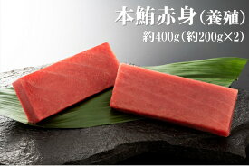 本鮪赤身(養殖) 約400g (200g×2) 本マグロ マグロ まぐろ 赤身 刺身 寿司 丼