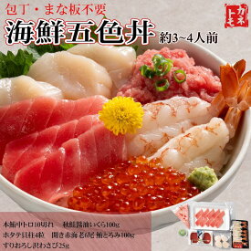 【五色丼セット】海鮮丼 本マグロ 本鮪 まぐろ 中とろ いくら イクラ たたき ネギトロ ホタテ 帆立 ホタテ貝柱 赤エビ 海老 魚介 海鮮 刺身 丼 2～3人前 冷凍 ごちそう 詰め合わせ お取り寄せ ギフト 贈答 プレゼント お年賀