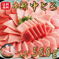 本まぐろ マグロ 鮪 中とろ 訳あり 500g 養殖 寿司 刺身 中とろ丼 海鮮丼 海鮮セット づけ づけ丼 マグロ…