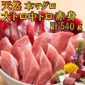 お中元 天然本マグロ食べ比べ 【送料無料】　天然本マグロ 大トロ 中トロ 赤身 計540g　本マグロ 本まぐろ 本鮪 天然 まぐろ マグロ 鮪 大トロ 大とろ 中トロ 中とろ 赤身 柵 食べ比べ 刺身 寿司 海鮮丼 御祝 内祝 誕生日 高級 贈物 ギフト お取り寄せ