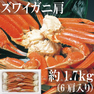 Ε  YCKj NET1.7kg 4LTCY 6 킢 YCI I Jj ɓ p Mtg y   j