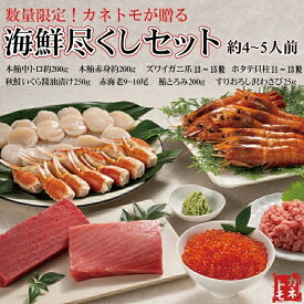 海鮮尽くしセット 本マグロ 本鮪 マグロ まぐろ 中とろ 中トロ 赤身 カニ爪 帆立 ホタテ 貝柱 赤エビ いくら 秋鮭いくら イクラ ネギトロ 海鮮丼 寿司 刺身 ごちそう 贅沢 魚介 海鮮 パーティー 詰め合せ 贈物 4〜5人前