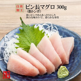 ビン長マグロ 300g (不定型) びん長鮪 トンボ鮪 刺身 寿司 丼 お歳暮 贈答