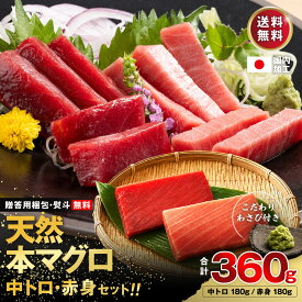 お中元 高級 天然 本マグロ 中トロ 赤身 刺身 360g 正規品 わさび付 田丸屋本店 冷凍 養殖 大容量 3人前～4人前 説明書付 マグロ まぐろ 鮪 高級マグロ