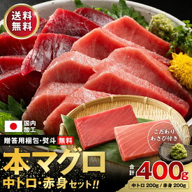 お中元 本マグロ 中トロ 赤身 刺身 400g 正規品 本わさび付き 田丸屋本店 冷凍 養殖 大容量 4人前～5人前 説明書付 マグロ まぐろ 鮪
