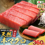 本マグロ 中トロ 柵 刺身 360g 天然 マグロ まぐろ 鮪 正規品 冷凍 3～4人前 解凍方法 切り方 説明書付 …