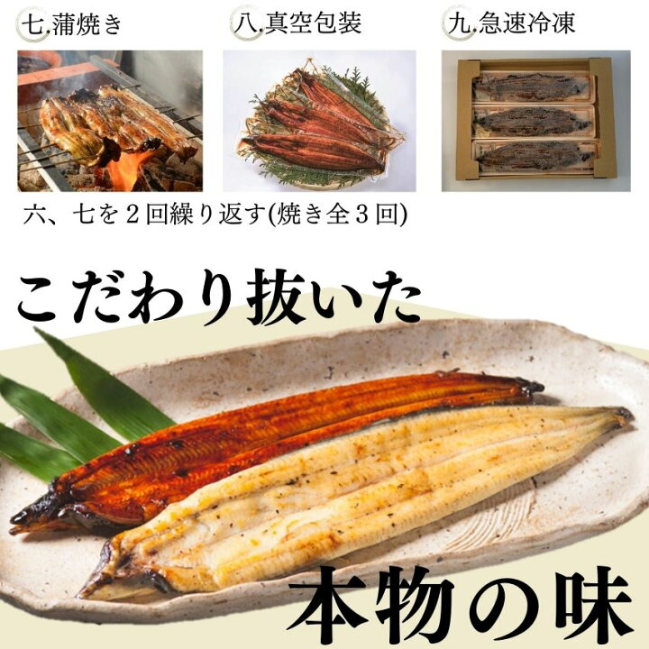楽天市場】2尾 3尾 新仔うなぎ白焼き 国産 炭火焼き 愛知 三河一色産 
