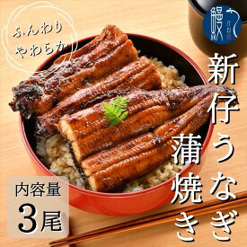 2尾 3尾 新仔うなぎ蒲焼き 国産うなぎ 炭火焼き 愛知 三河一色産 うなぎ 蒲焼き 長焼き有頭 三河一色産 鰻 ウナギ 国産 かね梅 プレゼント グルメ 送料無料 離島配送不可 簡単調理 小分け 真空パック うな重 うな丼 ひつまぶし うなぎ長焼 ギフト タレ たれ 丑の日
