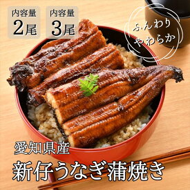2尾 3尾 新仔うなぎ蒲焼き 国産うなぎ 炭火焼き 愛知 三河一色産 うなぎ 蒲焼き 長焼き有頭 三河一色産 鰻 ウナギ 国産 かね梅 プレゼント グルメ 送料無料 離島配送不可 簡単調理 小分け 真空パック うな重 うな丼 ひつまぶし うなぎ長焼 ギフト タレ たれ 丑の日