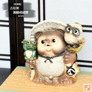 y؁z My  ʂ ÐMy萬AK 8.5  ӂ낤 ^  莝 炫 ₫ ^kL JG tNE CeA Mtg v[g N u Ă TN0014