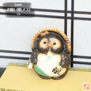 My  ʂ 肢KX 5 肢 J^ 炫 ₫ ^kL CeA Mtg v[g N u Ă TN0078