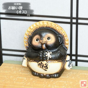 My  ʂ 肢KIX 7 肢 J^ 炫 ₫ ^kL CeA Mtg v[g N u Ă TN0004