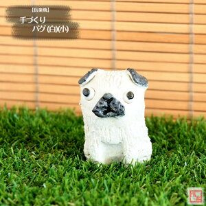 yXIXXz My  葢蓮 Â pO () ()     y y̖킢 炫 ₫ CeA Mtg v[g N u Ă TO0023