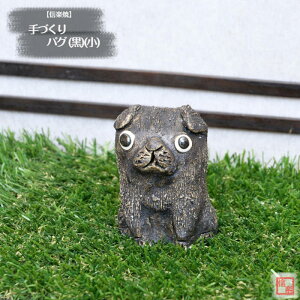 yXIXXz My  葢蓮 Â pO () ()     y y̖킢 炫 ₫ CeA Mtg v[g N u Ă TO0034