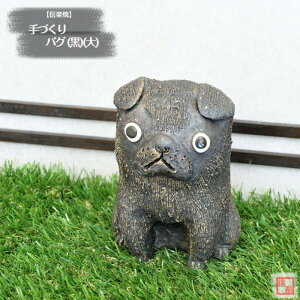 yXIXXz My  葢蓮 Â pO () ()     y y̖킢 炫 ₫ CeA Mtg v[g N u Ă TO0033