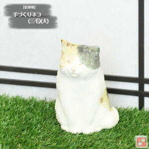 y؁z My  葢蓮 Â lR O () L ˂  O  y y̖킢 炫 ₫ CeA Mtg v[g N u Ă TO0001