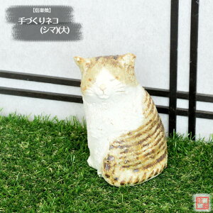 y؁z My  葢蓮 Â lR (V}) () L ˂    y y̖킢 炫 ₫ CeA Mtg v[g N u Ă TO0002