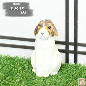 My  葢蓮 Â Ck ()     y y̖킢 炫 ₫ CeA Mtg v[g N u Ă TO0009