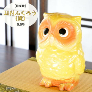 My  tNE tӂ낤 () ~~YN 5.5   KĂ sJ ^Abv 炫 ₫ CeA Mtg v[g N u Ă FK0003