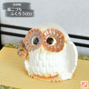 My  tNE Âӂ낤() 5   KĂ sJ łȍ ^ 炫 ₫ CeA Mtg v[g N u Ă FK0005