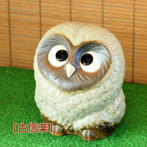 My  tNE uӂ낤ij Iׂ3F   KĂ sJ n[g 炫 ₫ CeA Mtg v[g N u Ă FK0004