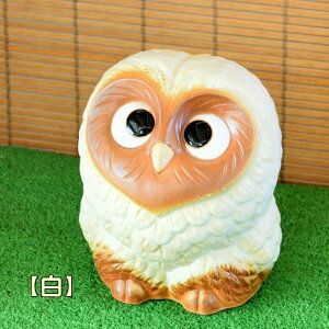 My  tNE uӂ낤ij Iׂ3F   KĂ sJ n[g 炫 ₫ CeA Mtg v[g N u Ă FK0004
