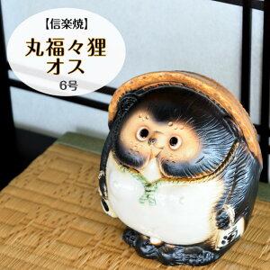 My  ʂ ەXK IX 6 ܂܂ ӂ 傫Ȃ 炫 ₫ ^kL CeA Mtg v[g N u Ă TN0187