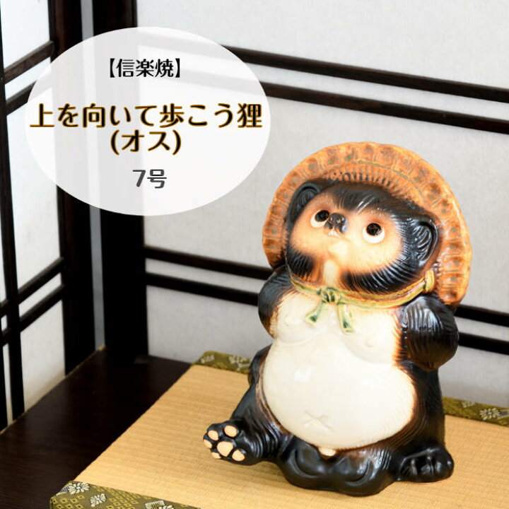 楽天市場】信楽焼 陶器 たぬき 上を向いて歩こう狸 オス 7号 散歩 