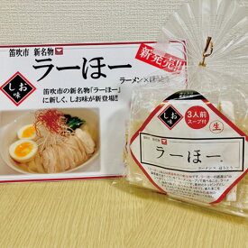 楽天市場 ラーメン 山梨の通販