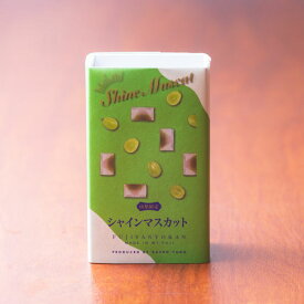 限定商品!!富士山が浮き出る【富士山羊羹（シャインマスカット）ハーフサイズ】和菓子/抹茶スイーツ/和スイーツ/スイーツ/羊羹ようかん/シャインマスカット/銘菓/お土産/山梨/山梨県/お取り寄せ/食べきりサイズ/おもてなし/敬老のお祝い/七五三/お礼
