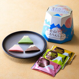 富士山ほろりんしょこら（9個入り）