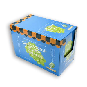 ؍ VC}XJbg{{ 62g 3  1P[X(10ܓ) ؍َq ߓ t[cO~