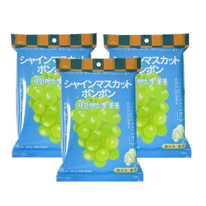 ؍ VC}XJbg{{ 62g 3  1P[X(10ܓ) ؍َq ߓ t[cO~