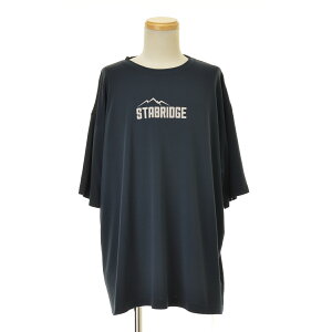 STABRIDGE (ｽﾀﾌﾞﾘｯｼﾞ)