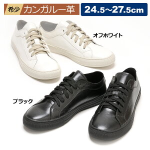 Xj[J[ Y JK[ {v   ubN zCg ʋ ʊw Vv rWlX@JWA U[ 20 30 40 50 60  IV@ v[g Mtg