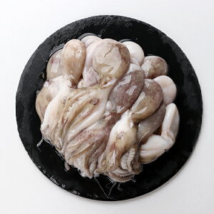 Ⓚ@CC_Ri`N~j@400g@N[֑ΏۏisH؍i ؍H ؍ ؍Hi Hו ⓀHi Ɩp t