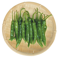 【韓国野菜】青唐辛子　200g★クール便選択対象商品