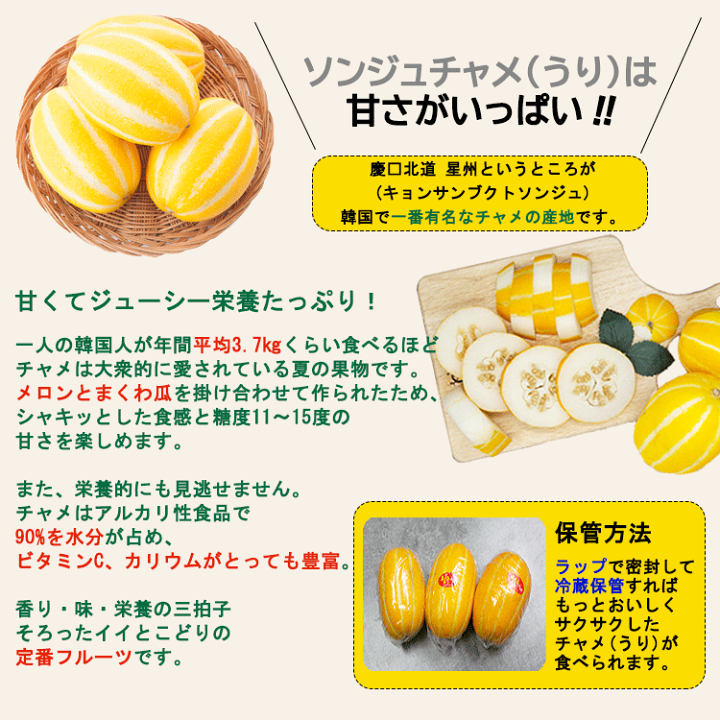 韓国チャメ10kg もうすぐ終わりクール便 今だけの季節限定☆韓国産入荷】冷蔵 チャメ 10kg (約25〜28玉