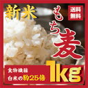 もち麦 1kg 【送料無料】/超最新ダイエット麦/ご飯 もちむぎ／大麦／麦　βグルカンを含有する麦ご飯 韓国産/雑穀の麦 栄養も健康も 食物繊維を豊富に含んでい... ランキングお取り寄せ