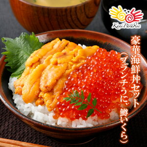؊CNZbgiu`200gEݖ200gj 2l`4lO u` }X ݖ CN Mtg 蕨 j ̂Ή