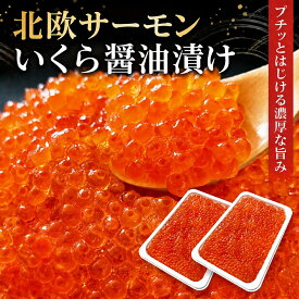 いくら醤油漬 (サーモントラウト 卵) 500g (250g×2パック入り) 北欧サーモン イクラ 小粒 海鮮 丼 手巻き ちらし 寿司 贈り物 お祝い のし対応 お中元 ギフト お取り寄せ