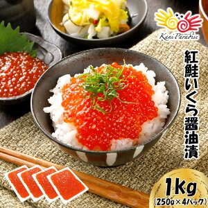 g  ݖЂ 500g CN CN  CN R 炵 i Mtg Mtg 蕨 j ̂Ή