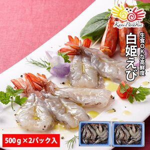 P 500g (500gɖ20`25)  Gr CV oiC oiCGr Mtg 蕨 j ̂Ή